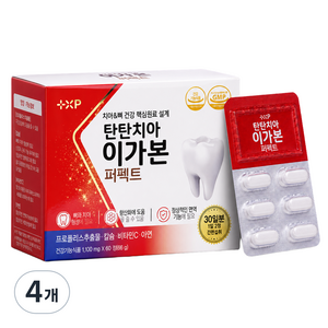 치아건강 탄탄치아 이가본 퍼펙트 칼슘영양제, 4개, 60정