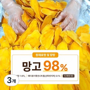 지원농산 베트남산 건망고 말린망고 98% 반건조 슬라이스, 3개, 500g
