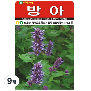 방아 씨앗 약초 나물 씨 종자, 9개