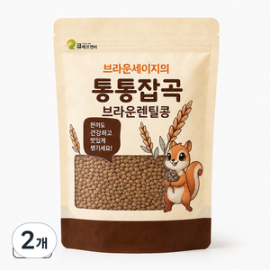 통통잡곡 2025년 캐나다산 브라운 렌틸콩, 2개, 1.5kg