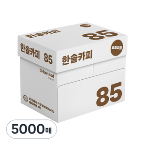 한솔제지 복사용지 85g, A4, 5000개