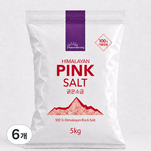 네이처모닝 히말라야 핑크솔트 굵은소금 수입사 직판, 5kg, 6개