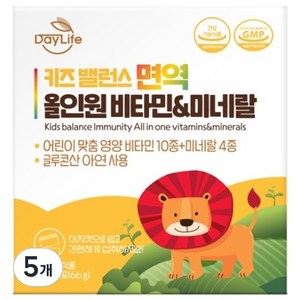 데이라이프 키즈 밸런스 면역 올인원 비타민&미네랄, 66g, 5개