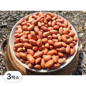 26년 햇땅콩 국산땅콩 직접농사지은 여주 볶은땅콩, 3박스, 300g