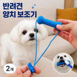 반려견 양치 보조기 강아지 치아관리 실리콘 덴탈토이 칫솔 보조 장난감, 2개, 블루