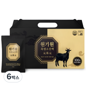 원기원 명품 흑염소 진액 무항생제 흑염소 사용 국내산 자연방목형 흑염소즙, 6박스, 2.1L