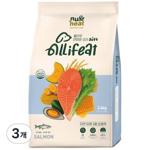 뉴앤힐 올리핏 강아지 전연령 소프트사료, 3개, 2.4kg, 연어+오리