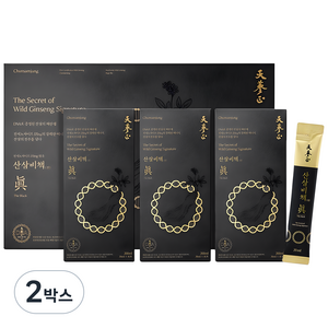 고농축 산삼진액 천삼정 산삼비책진 더 블랙, 2박스, 600ml