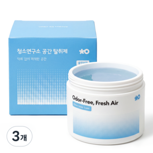 청소연구소 실내 고체 탈취제 클린솝향 300g 공간 탈취제 초강력 냄새제거 화장실 집안 담배냄새 제거, 3개, 300ml 골드박스 특가
