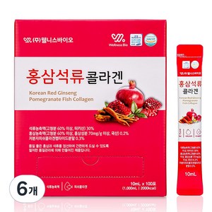 웰니스바이오 6년근 홍삼 석류 콜라겐 저분자 피쉬 스틱, 6개, 1kg