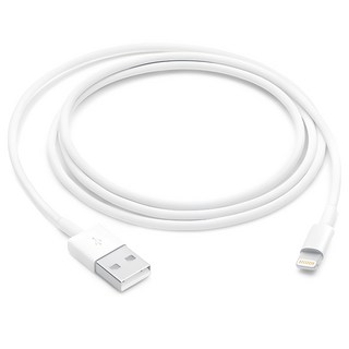 Apple 라이트닝 USB 케이블, 100cm, 1개