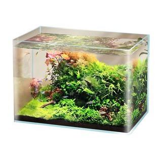 SUAQUA 玻璃魚缸, 透明, 1個