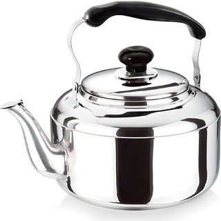 퀸센스 하모니 주전자, 1.5L, 혼합색상, 1개