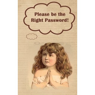 Please be the Right Password: Internet passwords addresses and usernames humorous cover with A-Z i... 平裝版, Gome! Publishing, 英文