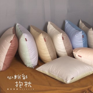 麗塔寢飾 40支紗精梳棉抱枕套 40x40cm - 多色可選，精梳棉材質，柔軟舒適
