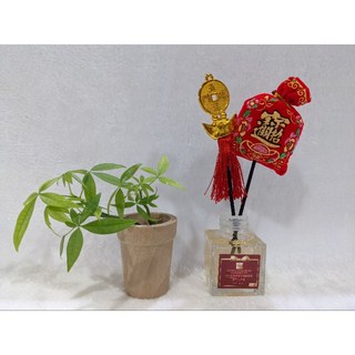 多肉植物盆栽-文青風-原木多肉小盆栽植物容器, 棕色