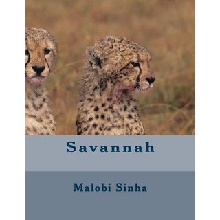 (英文圖書) Savannah 平裝版, Createspace Independent Pub..., 英文