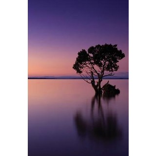 (英文圖書) The Hacker-Proof Internet Address Password Book - Sunset Lake: Alphabetical Website Username ... 平裝版, Createspace Independent Pub..., 英文