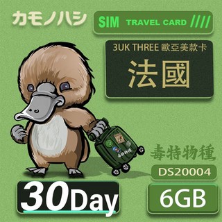 3UK THREE 歐亞美 法國 6GB 世界71國共用網卡, 30天6GB