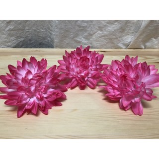 原住民材料 / 菊花 / 人造花 / 花環材料 / 頭飾材料 / 塑膠菊花 / 卑南族 / 排灣族 / 魯凱族, 粉紅色