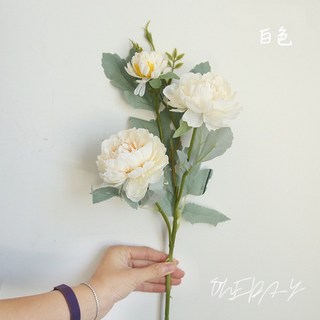 仿真歐式雅沫牡丹花, 白色
