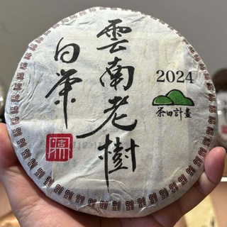 八方茶業 2024年 雲南鳳慶白茶餅 (每片約200公克) 熱泡香 冷泡甜 無農藥栽培, 200 公克