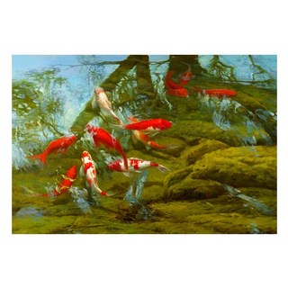 富貴有魚手繪油畫 60 90cm(VF-84), 詳見包裝