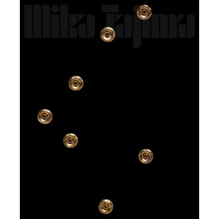 (英文圖書) Mika Tajima 精裝版, Inventory Press, 英文