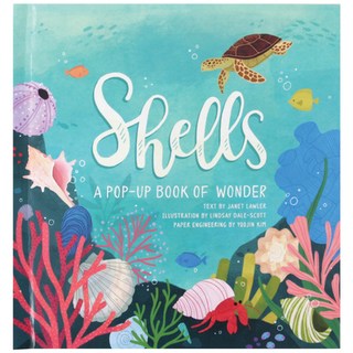 Shells: A Pop-Up Book of Wonder 精裝版, Jumping Jack Press, 英文