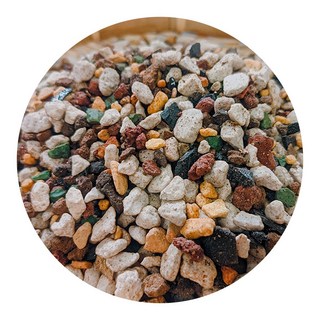 頂級優菌多肉土(不含植物纖維) - 多肉植物專用土，透氣排水，富含益生菌, 1個, 1L