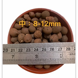 種子王國 煉石 中粒 8-16mm 發泡煉石 約1公升 園藝資材, 1個, 1L