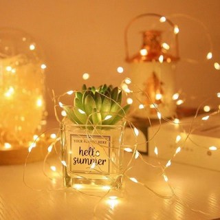 LED銅線燈串 氣氛燈 聖誕燈 裝飾燈 背景燈 暖光燈 採光燈 仙女燈, 銅, 1個