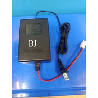 百淨淨水 變壓器 TP-2000 110V扁插 32V/2A 電源供應器 電源轉換器, 無, 1個
