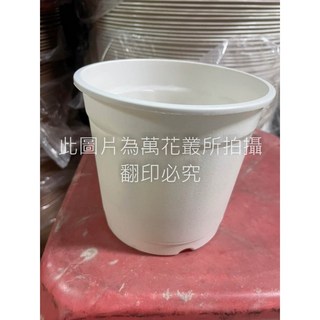 萬花叢 資材 5吋塑膠盆 紅/黑/白 PP聚丙烯材質 花盆 盆栽