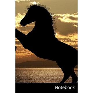 (英文圖書) Notebook: 馬、動物、屋外で、農... 平裝版, Independently Published, 英文
