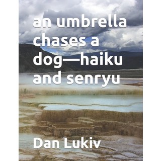 (英文圖書) An umbrella chases a dog-haiku and senryu 平裝版, Independently Published, 英文