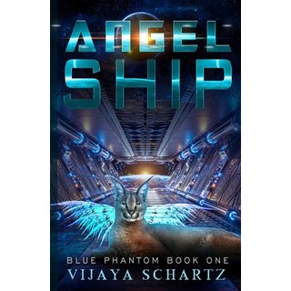 (英文圖書) Angel Ship 平裝版, BWL Publishing Inc., 英文