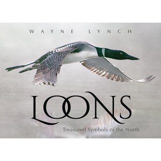 (英文圖書) Loons: Treasured Symbols of the North 平裝版, Fitzhenry & Whiteside, 英文