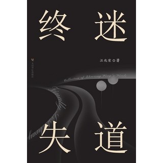 (英文圖書) 终迷失道: 汪兆荣小说集 平裝版, Blurb, 英文