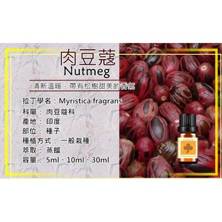 芳療級肉豆蔻精油_印度進口，清新溫暖香氣，舒緩身心，多種容量選擇