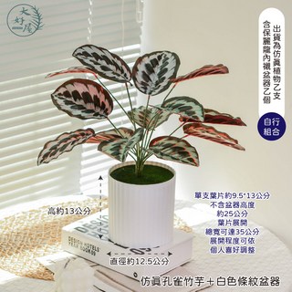 大好屋 仿真居家系觀葉植物盆組 龜背葉 春雨葉 仿真綠植 綠化盆栽 室內擺件, 白色, 1個