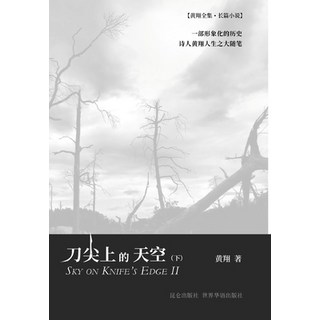 (英文圖書) 刀尖上的天空（下） 精裝版, Blurb, 英文