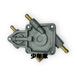少年家 台鈴 原廠 D09H GSR 125 化油版 燃油幫浦 汽油泵 汽油邦浦 汽油泵浦, 1個