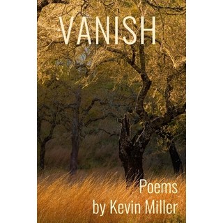 Vanish 平裝版, Wandering Aengus Press, 英文