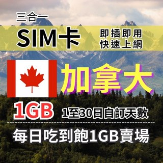 美國/加拿大 每日1GB高速上網 SIM卡 (1-5天), 1天