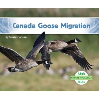Canada Goose Migration Library Binding, Abdo Kids, 英文, 圖書館裝訂版