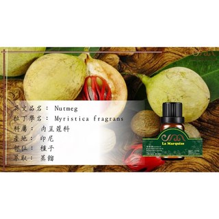 芳菲菲生技 單方肉豆蔻精油-印尼產 蒸餾萃取 舒緩放鬆