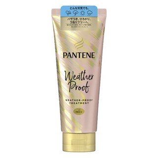 PANTENE 潘婷 Weather Proof護髮素, 1個, 160g