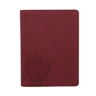 (英文圖書) CSB Experiencing God Bible Burgundy Leathertouch Imitation Leather, Holman Bibles, 英文, 人造皮革
