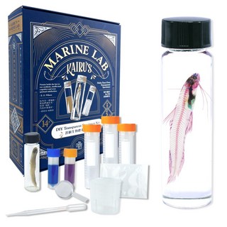 海琉生態藝術工作室 透明生物標本製作組 DIY Kits, 1個